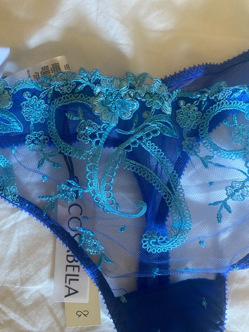 Cosabella Blue & Aqua Sheer Lace Bikini - Picture 4 of 4